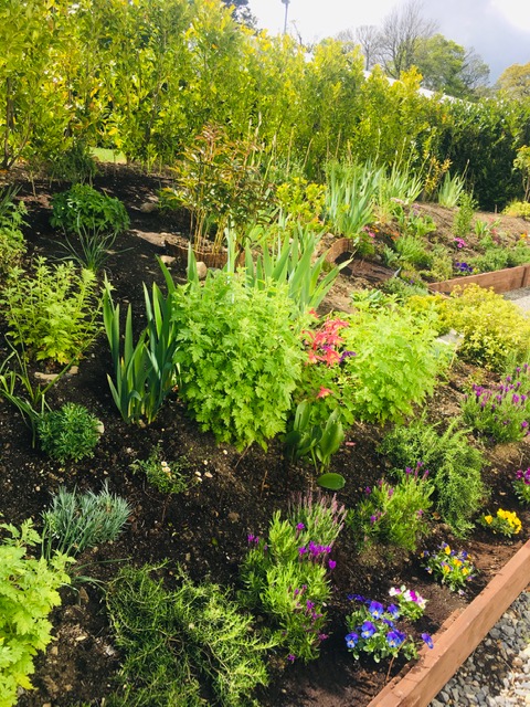 Carriagbrae House - Gardens